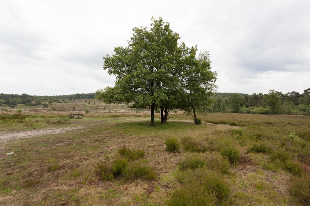 Chalet Hoenderloo Beuk Exterior foto
